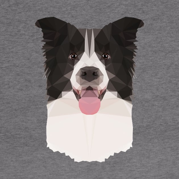 Border Collie by arlingjd